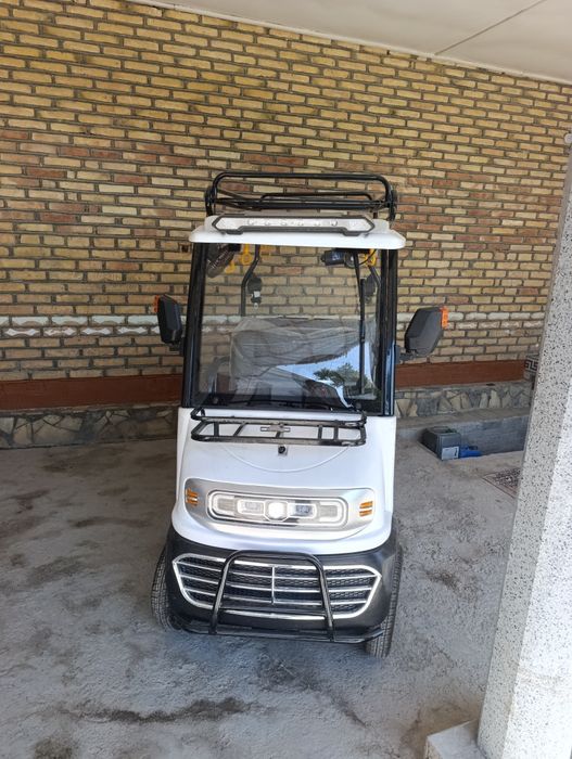 Elektrogolfkar..,