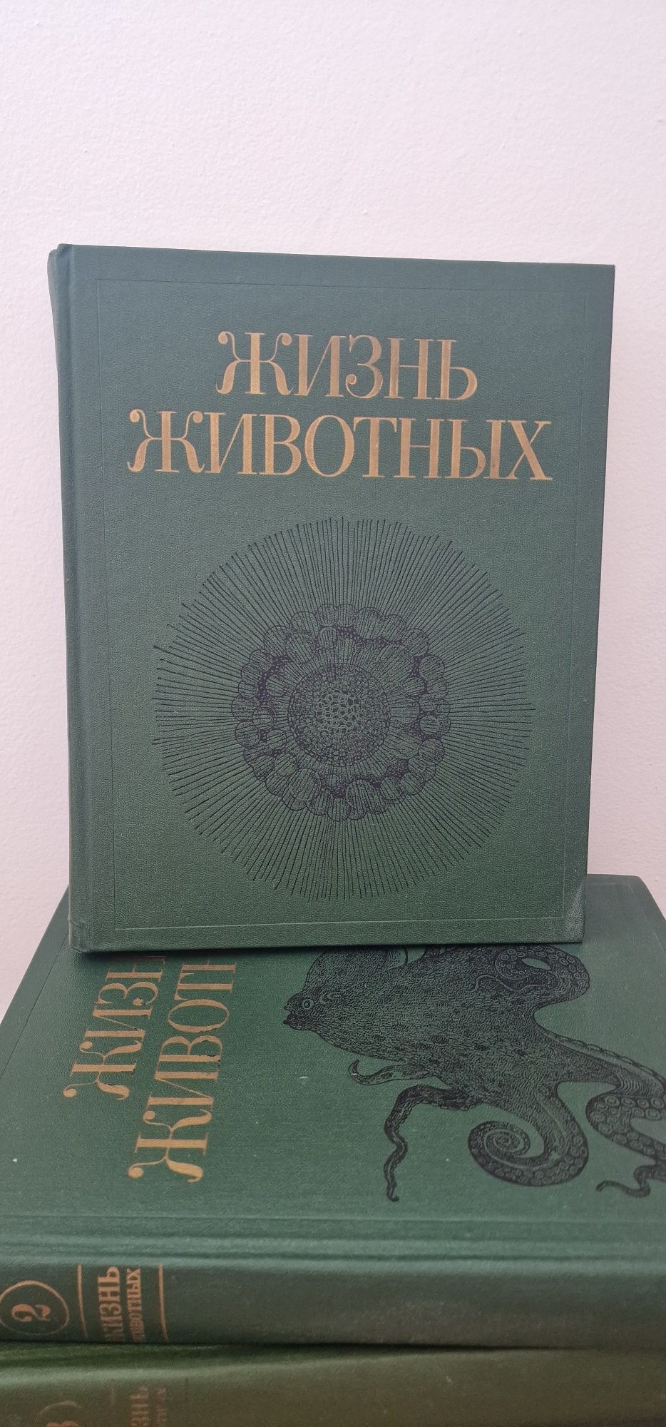 Живот на животните