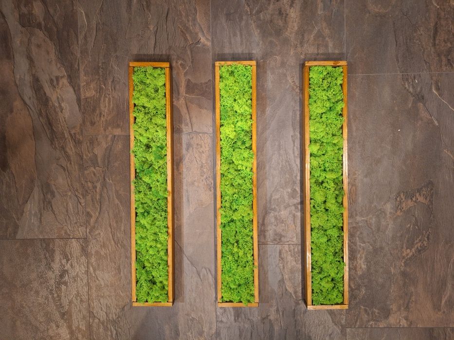 Декоративни пана със Скандинавски мъх