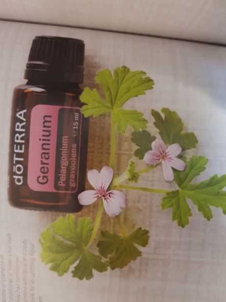 Ulei doTerra Geranium (muscata)-15 ml +Lavanda la 100 lei