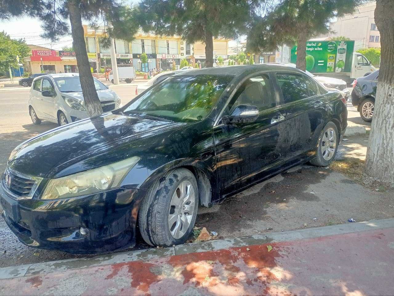 honda accord 2008