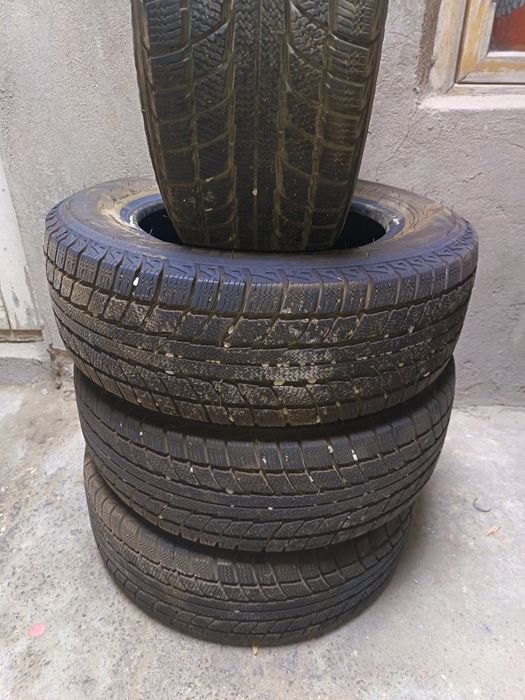 пару месятсов ездела