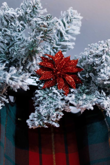 Sedinta foto craciun