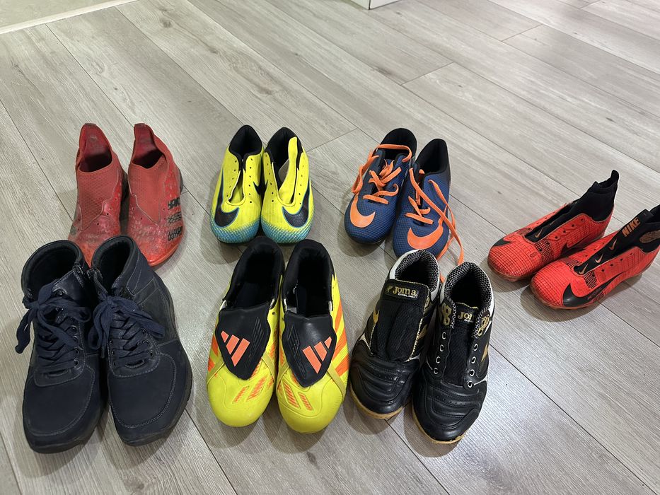 Продам буцы, сороконожки