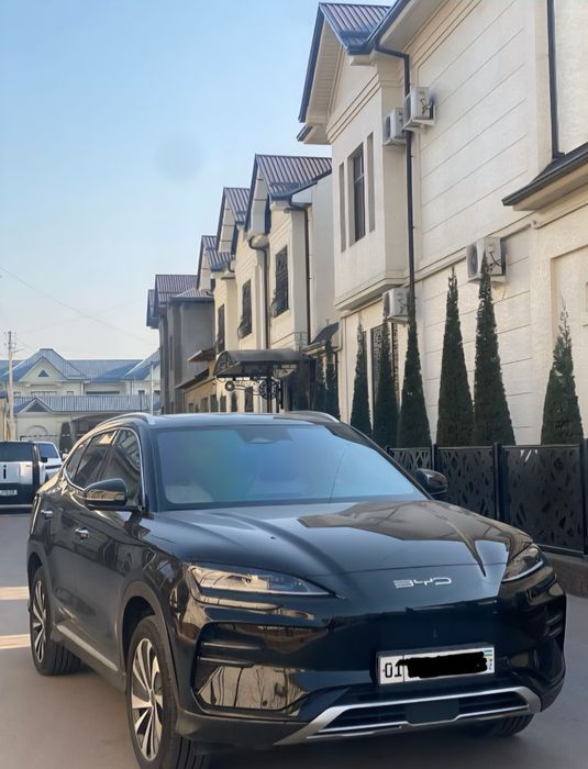 BYD Champion 2024-yi,l 520km battery