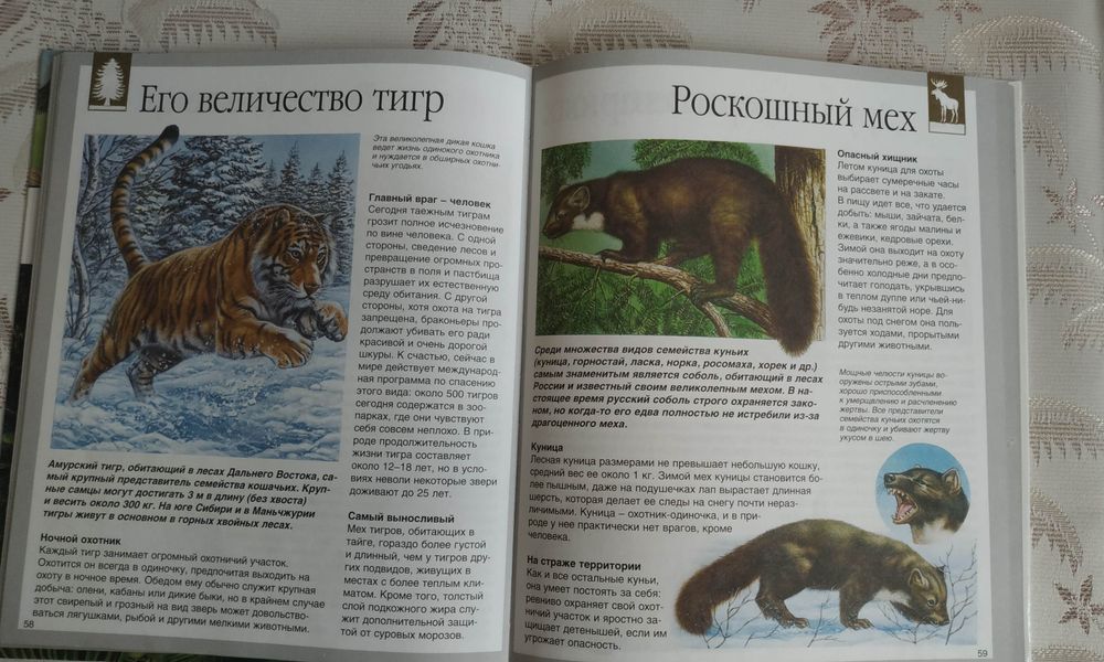 Две книги из Москвы за 150 тыс.( Обе вместе)