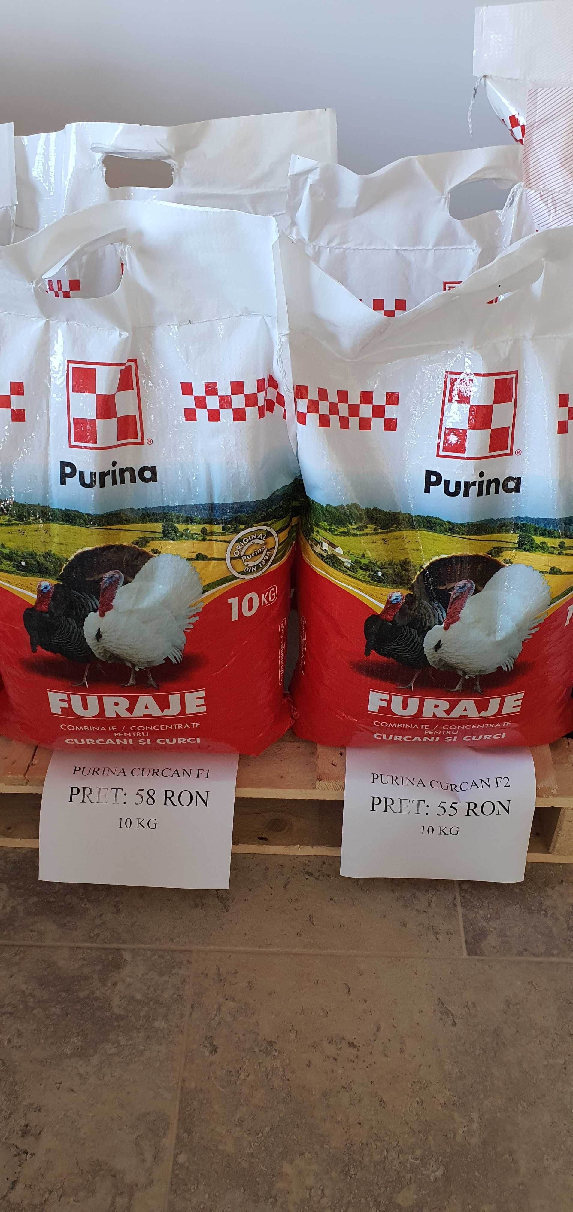 Furaje/Concentrate PURINA pui, gaini, curcani, porci, miei