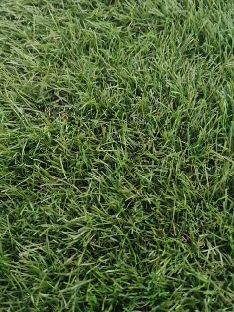 Gazon artificial decor Luxury-model Elite45mm-latime 200cm(+/-1)