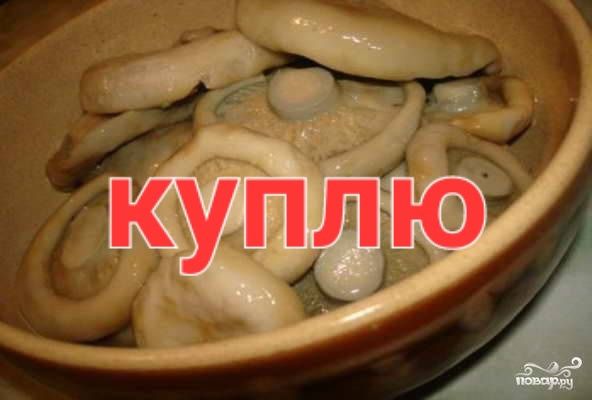 Закупают грибы грузди