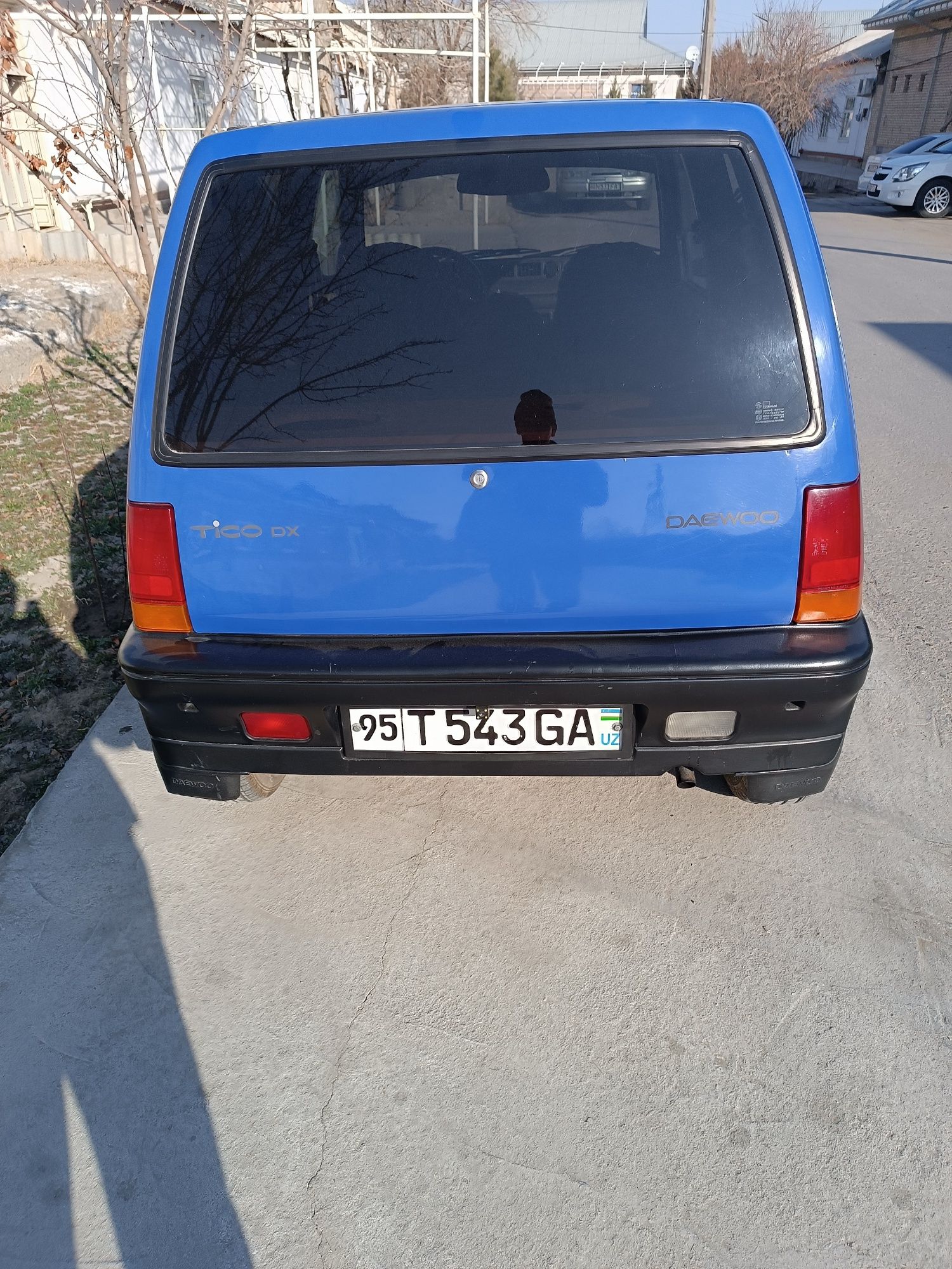 Tiko holati alo bez xarajat