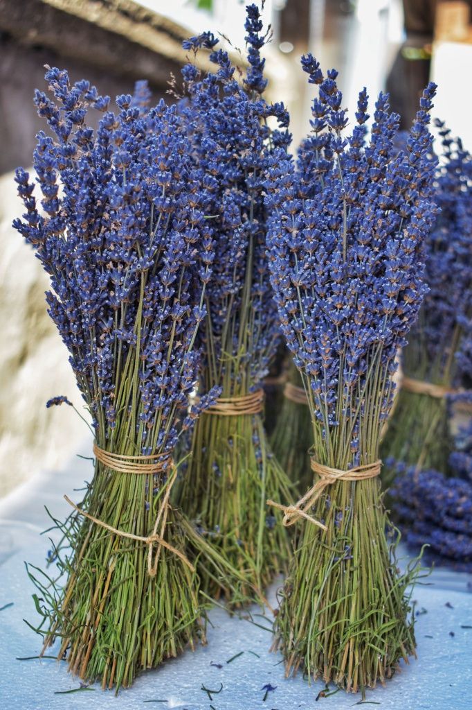 Vand lavanda buchet sau vrac