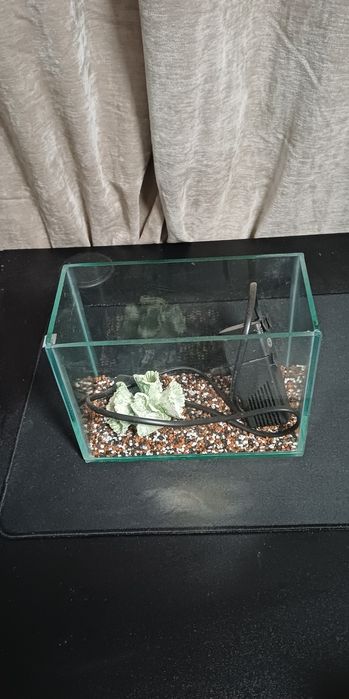 Acvariu pentru pești 3.28L