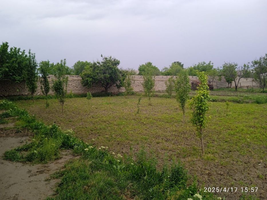 Навбахор тумани, Гулистон махалласида уй сотилади.