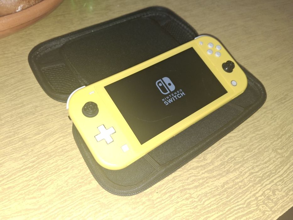 Nintendo switch lite