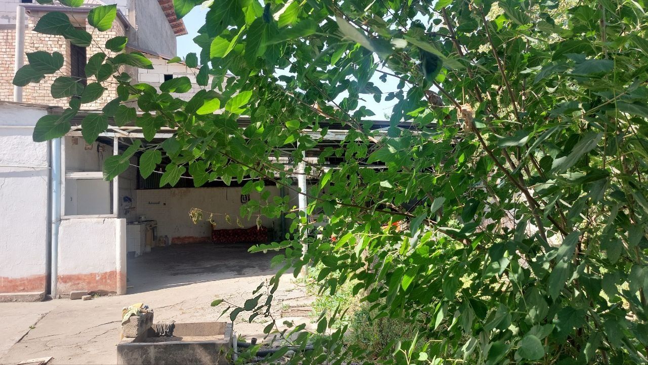 Продается дом сергели Райхон куча