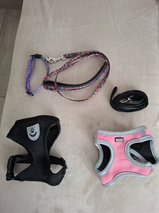 Аксесоари за домашен любимец куче /коте