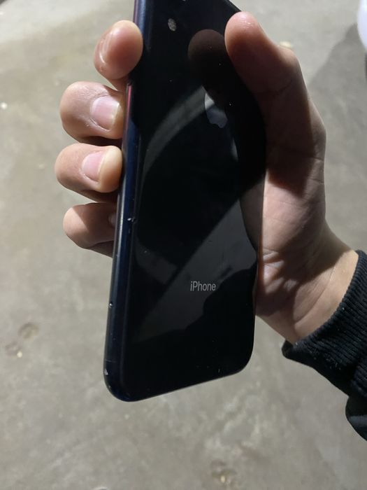 Iphone xr radnoy
