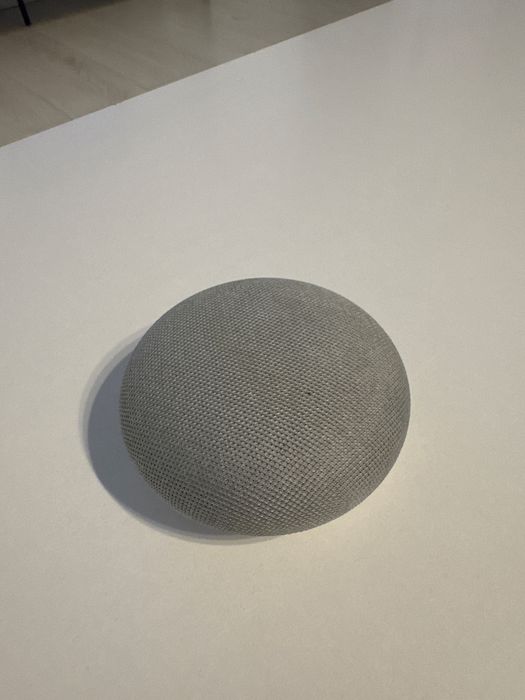 Google home mini