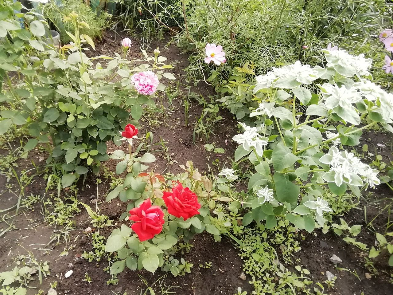 Продам дом с Новокаменка