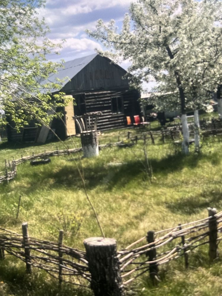 Продам на разбор дом из оцилиндрованного бревна