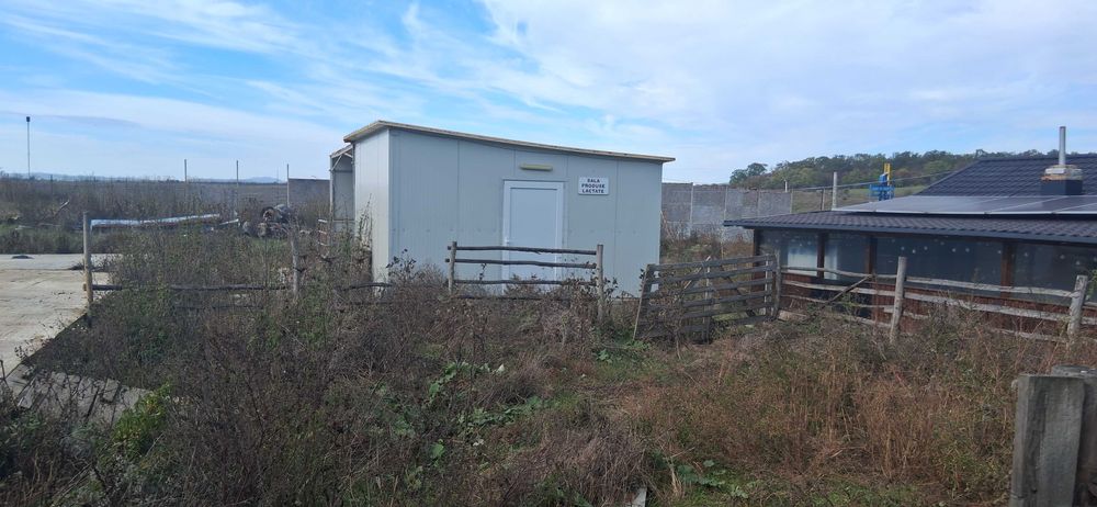 Ferma de vanzare , zona Dambu