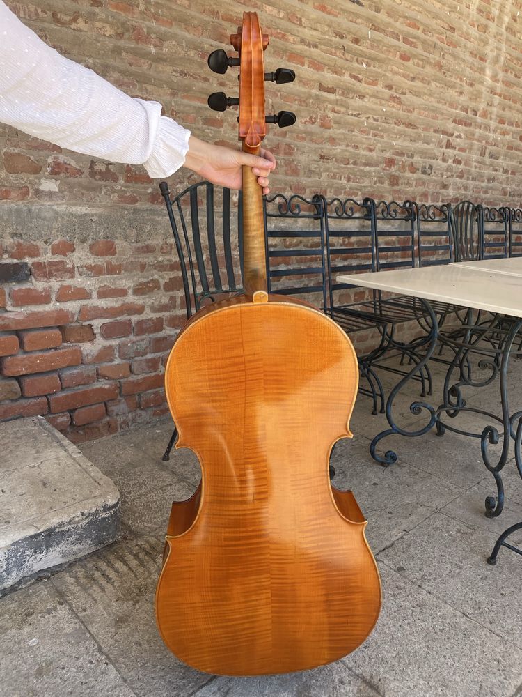 Violoncel 4/4 lemn Reghin