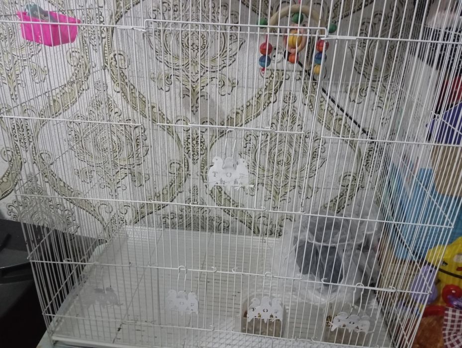 Продам большую клетку