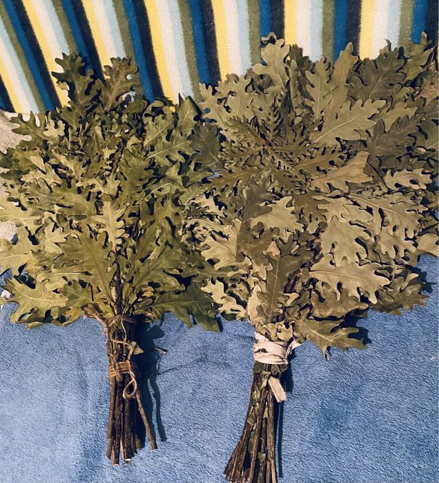 Веники для бани дубовые