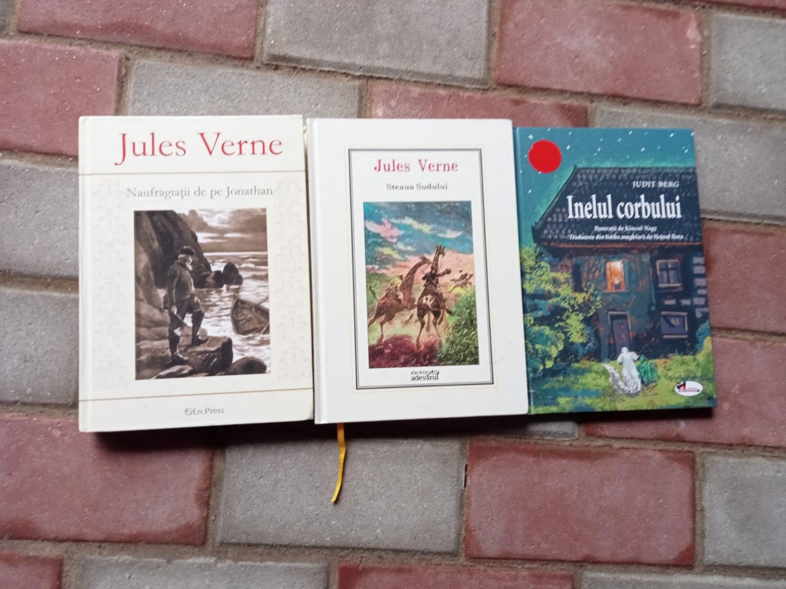 Cartii Jules Verne si Inelul Corbului