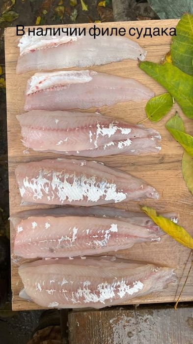 Свежее Филе судака