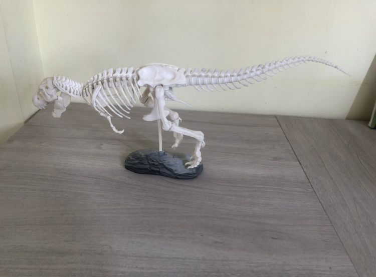 Dinozaur 3D T-REX