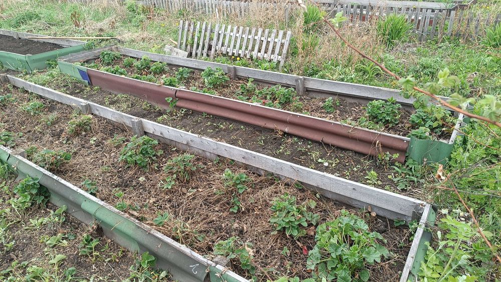 Дача 5 сот., Садовое сообщество Ромашка