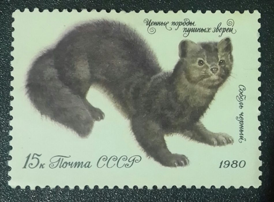 марка почта ссср 1980 г. Соболь чёрный.