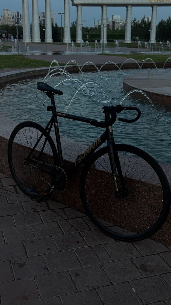 Tsunami snm100 fixed gear