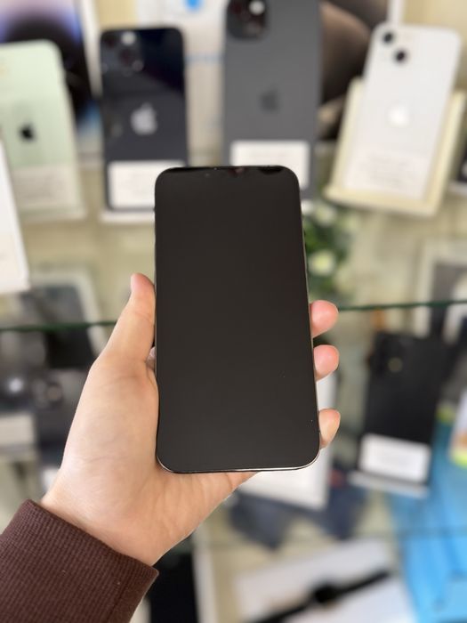 Apple iPhone 13 Pro