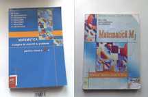 Matematica -culegere de exercitii, M1, manual, M.Tena, M.Andronache