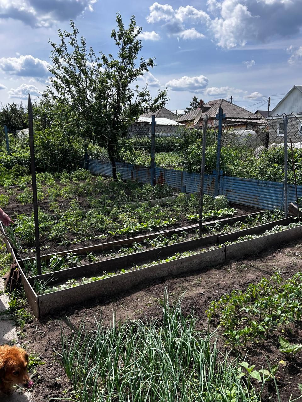 Продам  дом  срочно