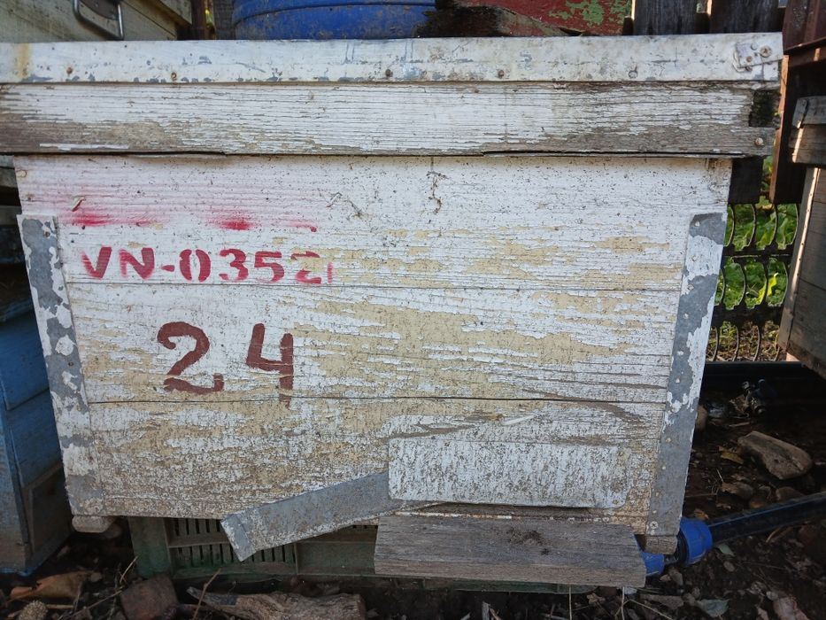 Stupi albine stare buna