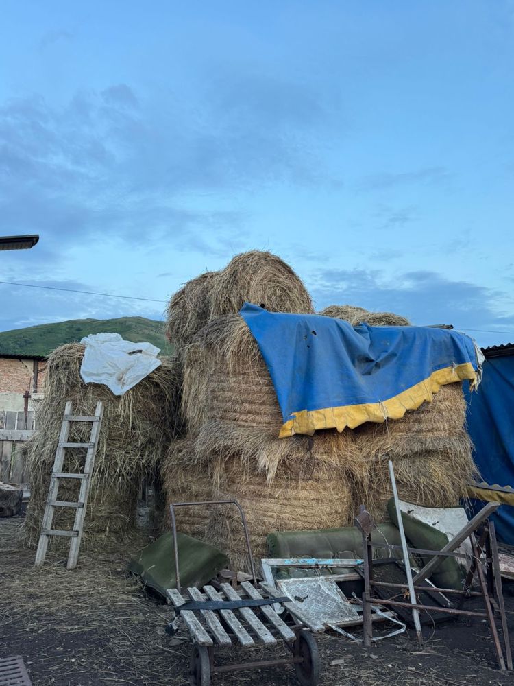 Продам рулоны сена