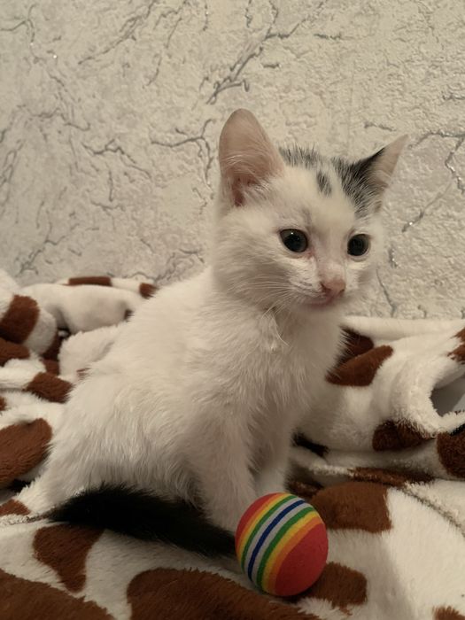 Мир не без добрых людей