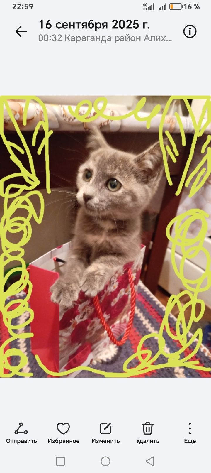 Очень милые котята