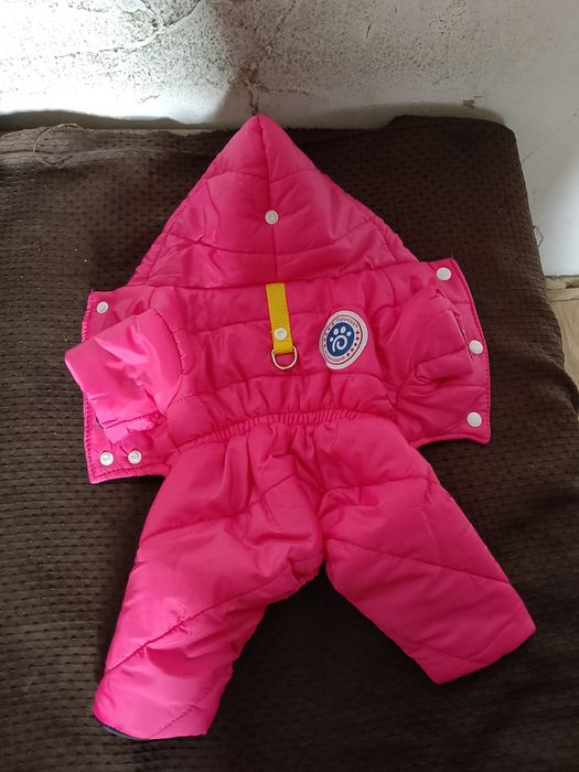 Дрехи за малко куче