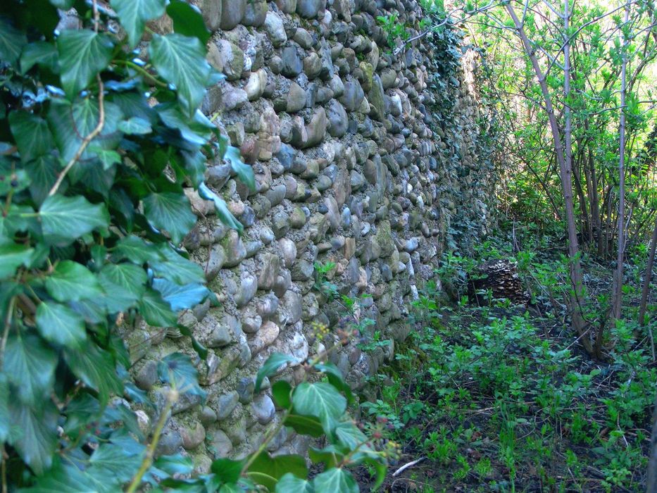 Vand teren intravilan 14000mp + IZVOR puternic in jud. CLUJ