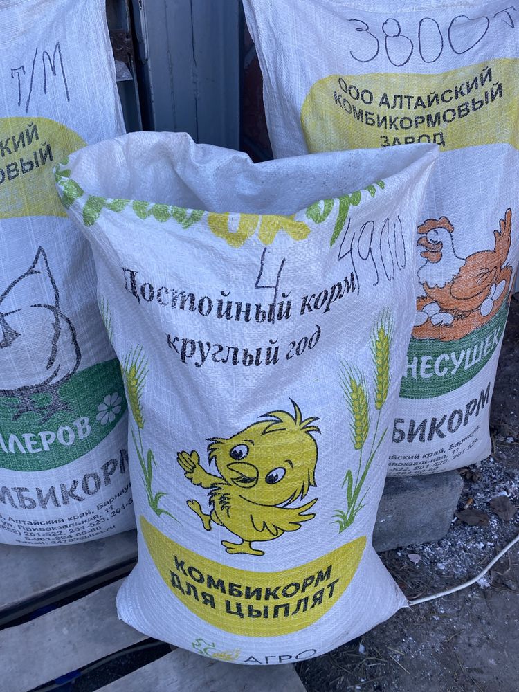 Продам несушку , бройлер