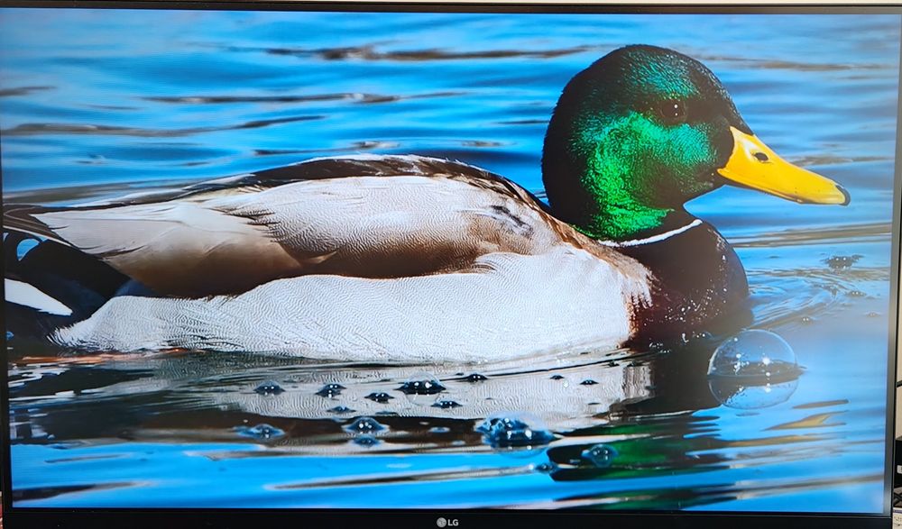 Monitor LG 32 Inch Gaming 1440p 144hz Freesync 1ms