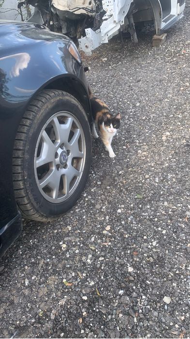 Super Volvo S40 1.6 diesel