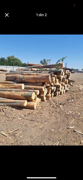 Vand lemne de foc esenta fag gata taiate