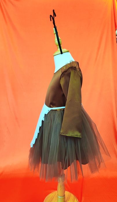 Costum furnică copii