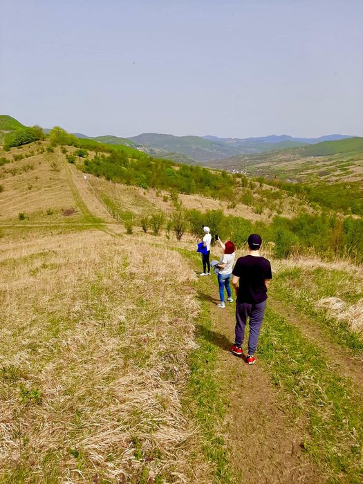 Terenuri extravilane de vânzare – Cozieni, jud. Buzău