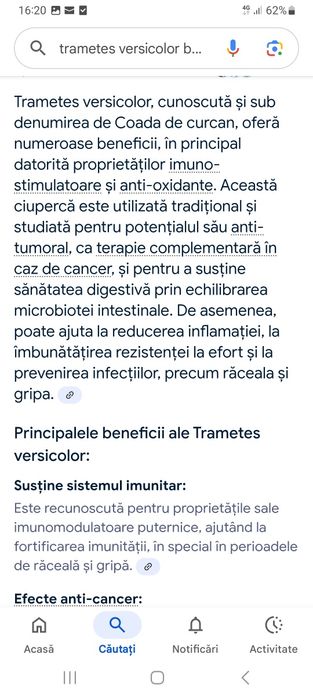 Ciuperci medicinale coada curcanului 100 lei 200 grame